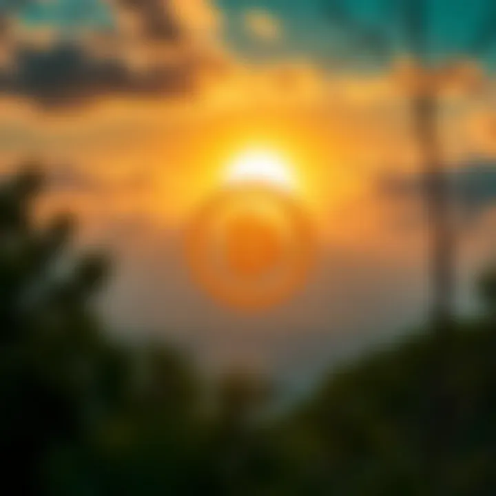 Representation of Bitcoin symbols emerging from South African landscape